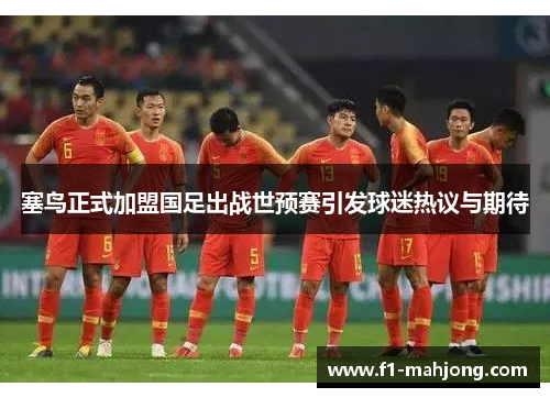 塞鸟正式加盟国足出战世预赛引发球迷热议与期待